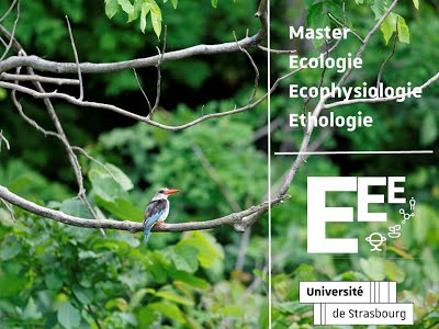 Master Ecophysiologie, Ecologie & Ethologie – Univ Strasbourg