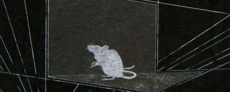 [France Culture] Des souris et des hommes… de science avec Georges Chapouthier
