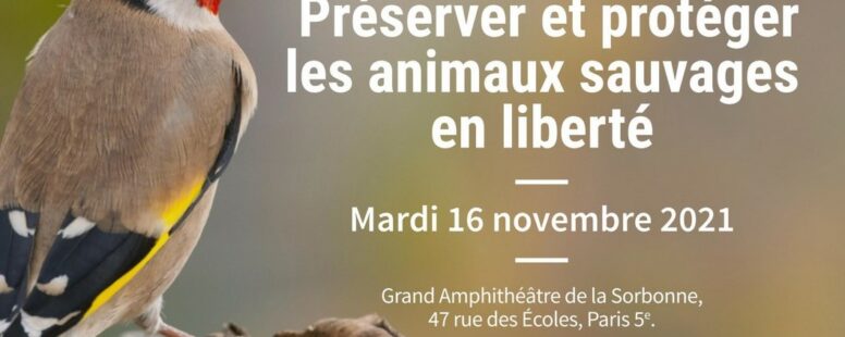 [LFDA – 16 nov 21 – Sorbonne] Colloque « Préserver et protéger les animaux sauvages en liberté »: ouverture des inscriptions