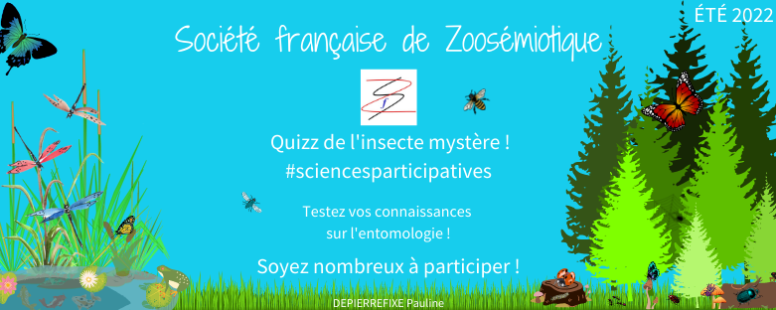 [Quizz été 2022] Retrouvez l’insecte mystère avec Pauline Depierrefixe