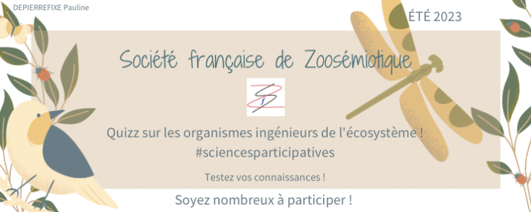 [Eté 2023] 4ème Quizz: Organismes ingénieurs de l’écosystème, par Pauline Depierrefixe