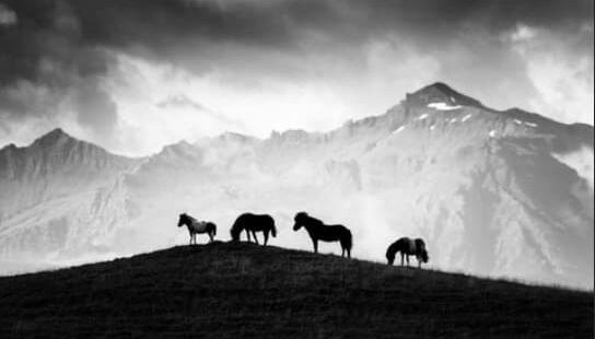 [Exposition Equi-Libre 28/11/24 – 01/02/25] Laurent Baheux pour la première fois en Suisse