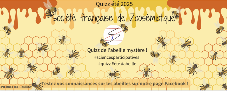 [Été 2025] Les Abeilles! 6ème édition du Quizzzzzzz de l’été par Pauline Depierrefixe