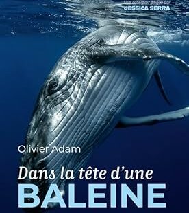 [Publication] Dans la tête d’une baleine, Olivier ADAM