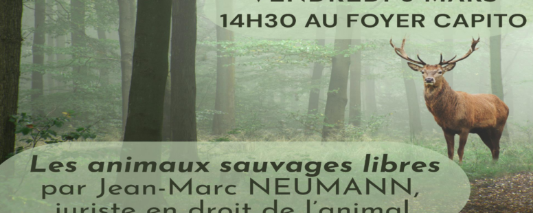 [6 mars 26] Conférence de Jean-Marc Neumann sur les Animaux sauvages libres, Haguenau