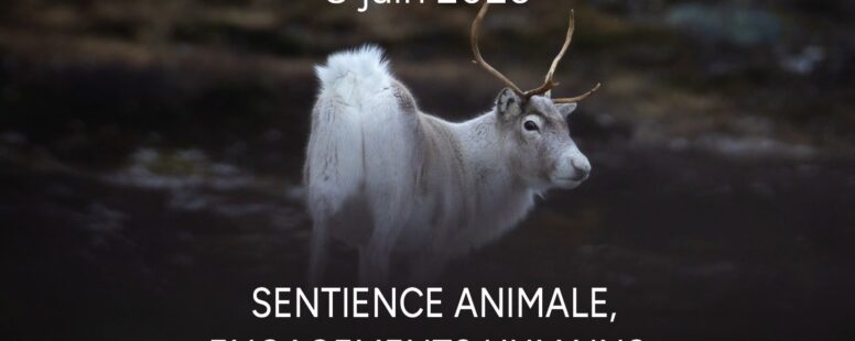 [Colloque 8 juin 2026] G. Chapouthier au colloque Sentience animale, engagements humains (université de Grenoble)